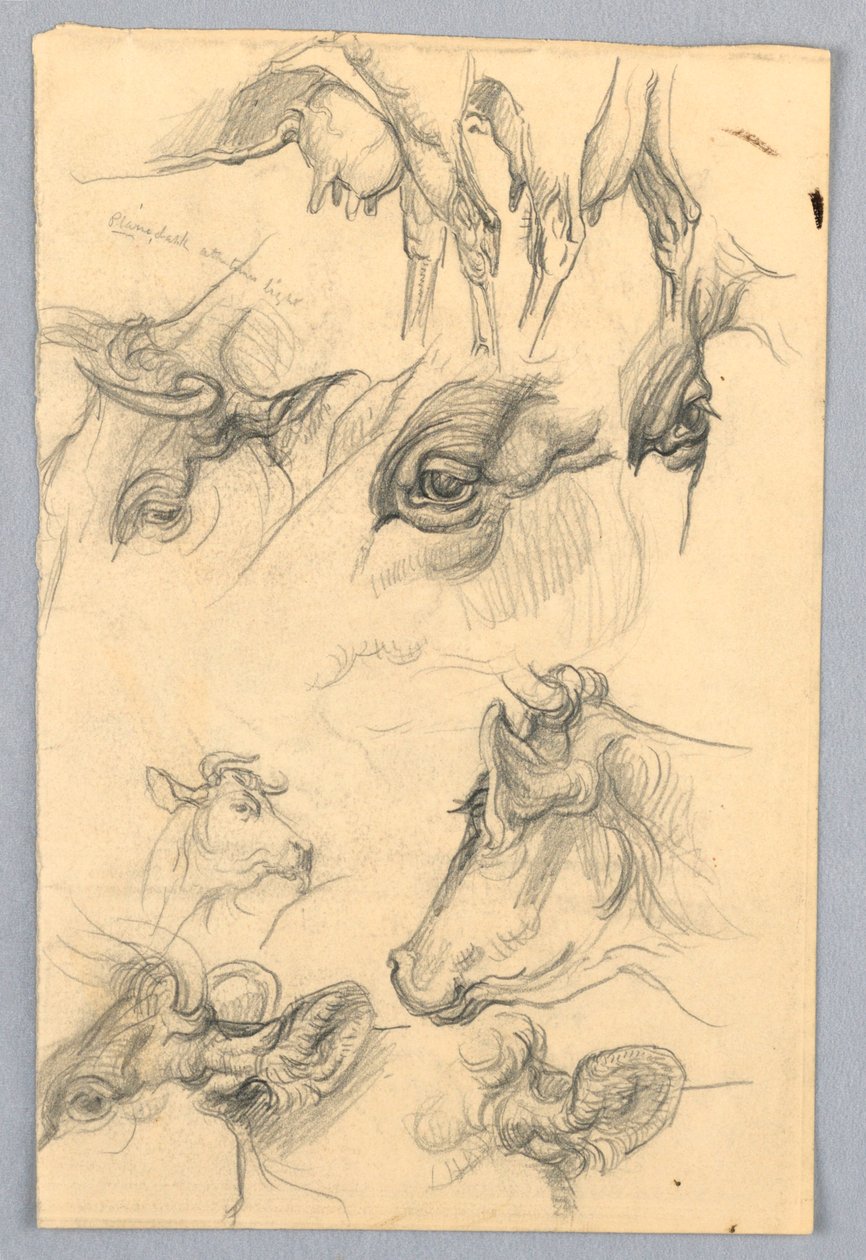 Studies of Cows   1255381   no       norwegian Successfully Translated  Original: Tomyris with the Head of Cyrus Translat: Tomyris with the Head of Cyrus 1251031 no norwegian Successfully Translated Original: ""Esquisse pour peinture a bordure blanche"" (S av Samuel Colman
