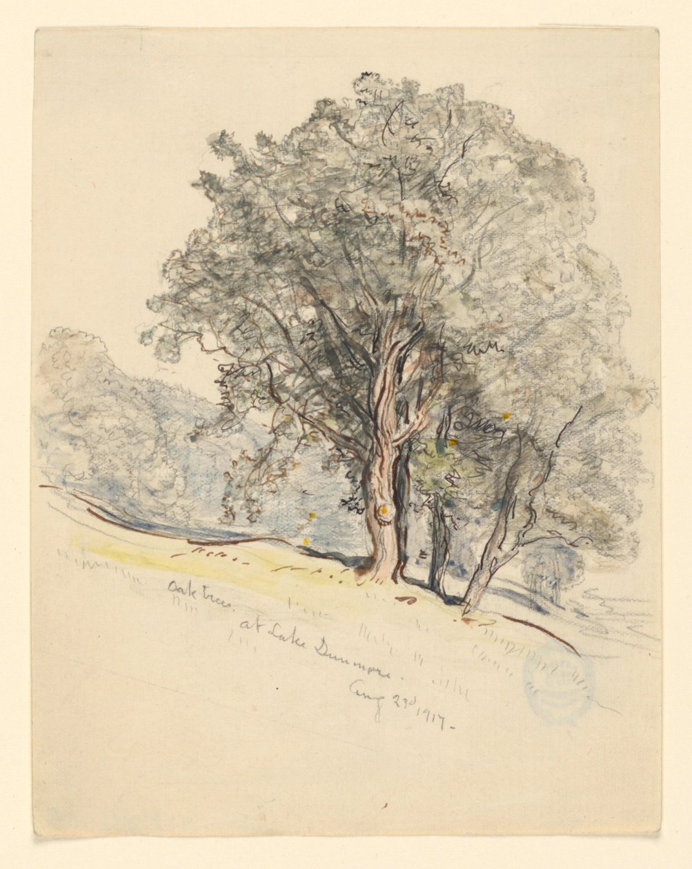 Studie av eiketrær ved Lake Dunmore, Vermont av Samuel Colman