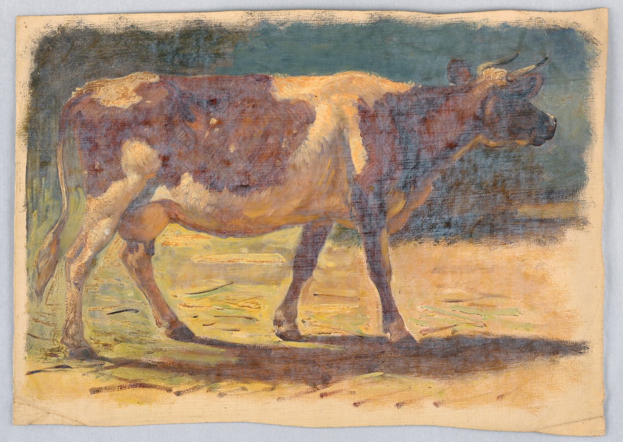Studie av en stående ku av Samuel Colman