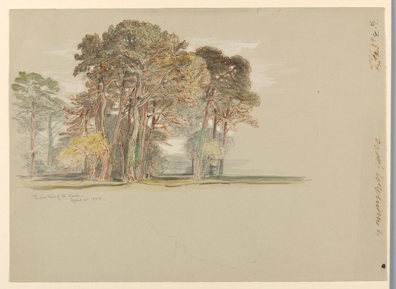 Pinetrærne i El Monte, California av Samuel Colman