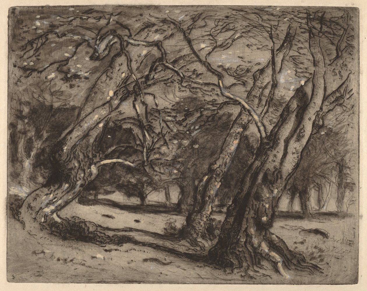 Uten tittel (skogkledd landskap) av Samuel Colman