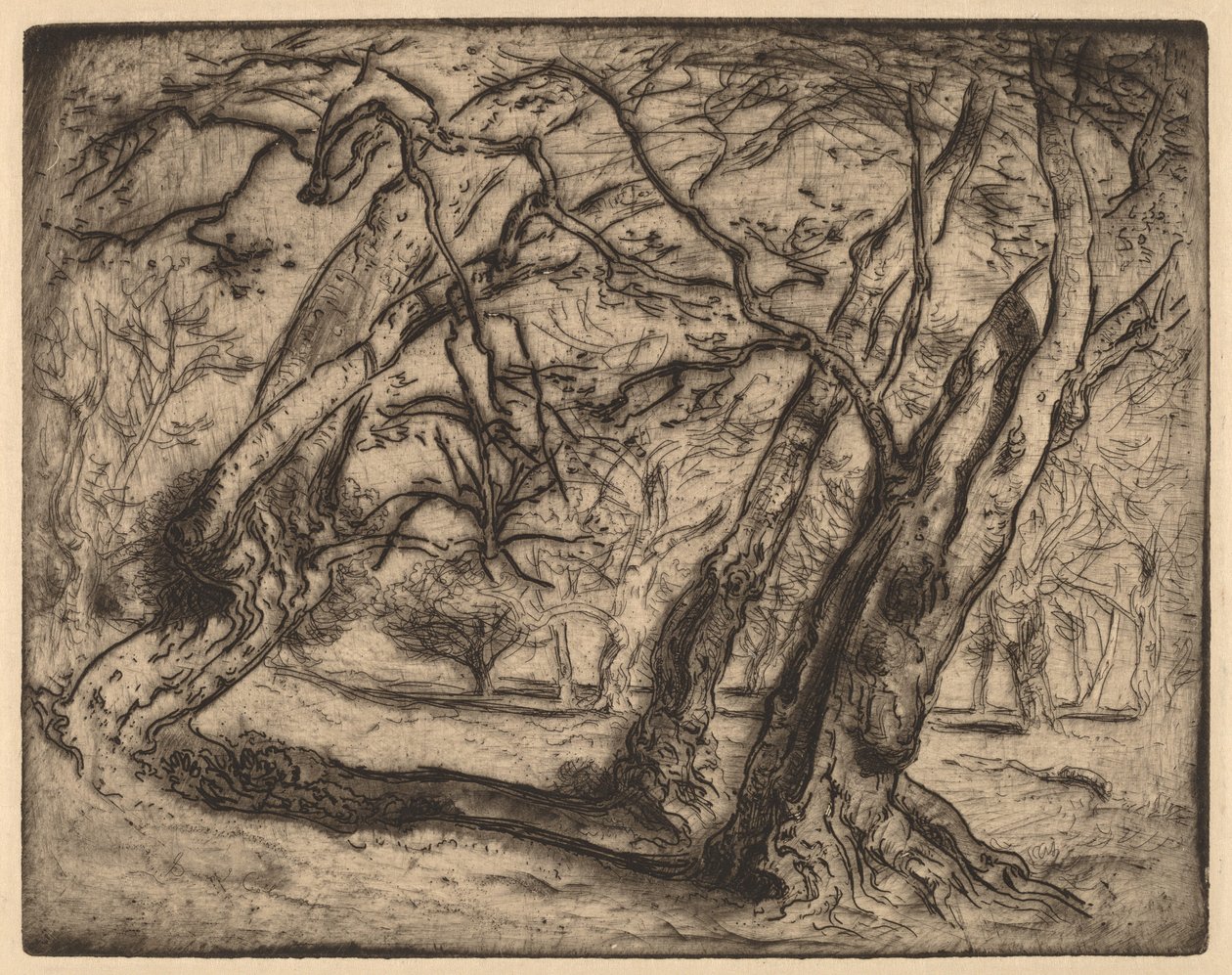 Uten tittel (skogkledd landskap) av Samuel Colman