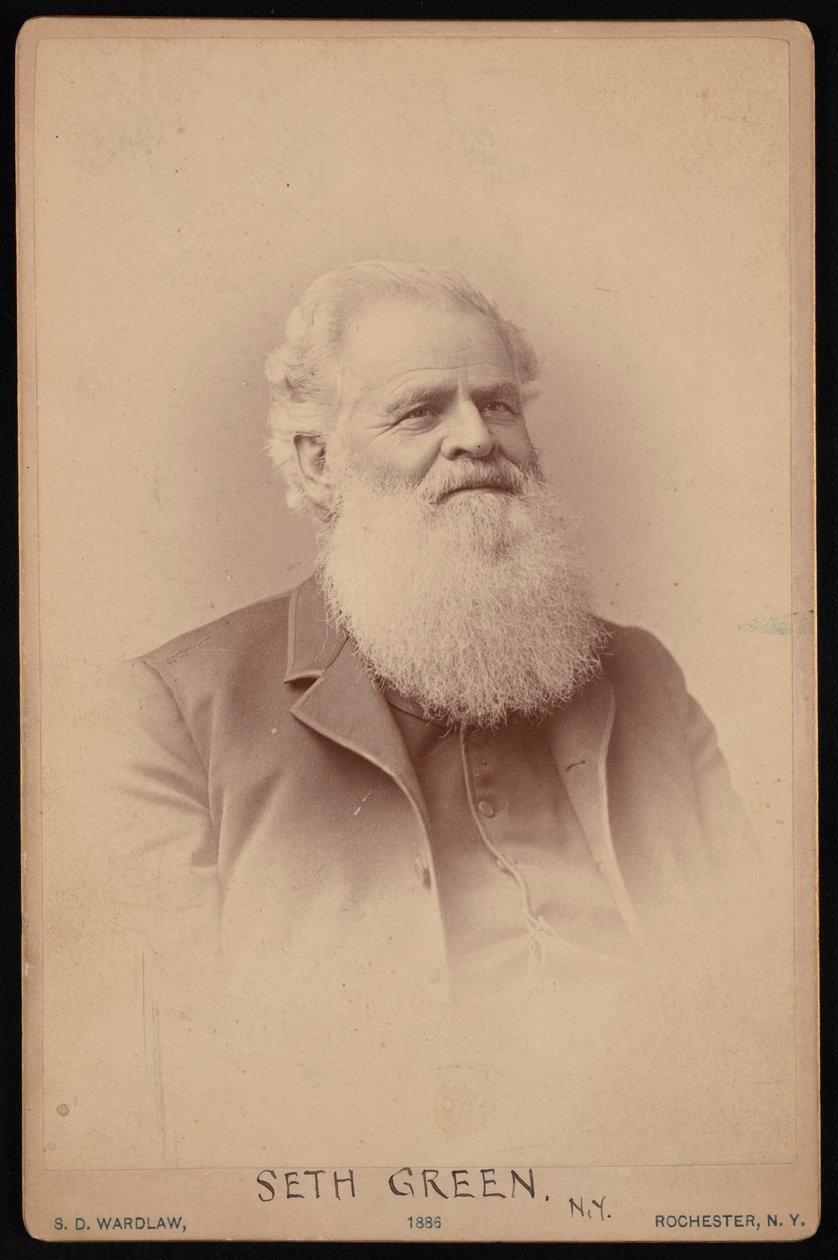 Portrett av Seth Green 1817-1888, 1886. av Samuel D Wardlaw