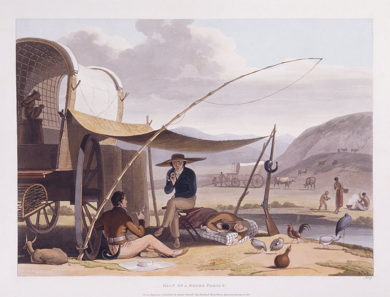 Afrikansk natur og dyr ved Kapp det gode håp av Samuel Daniell