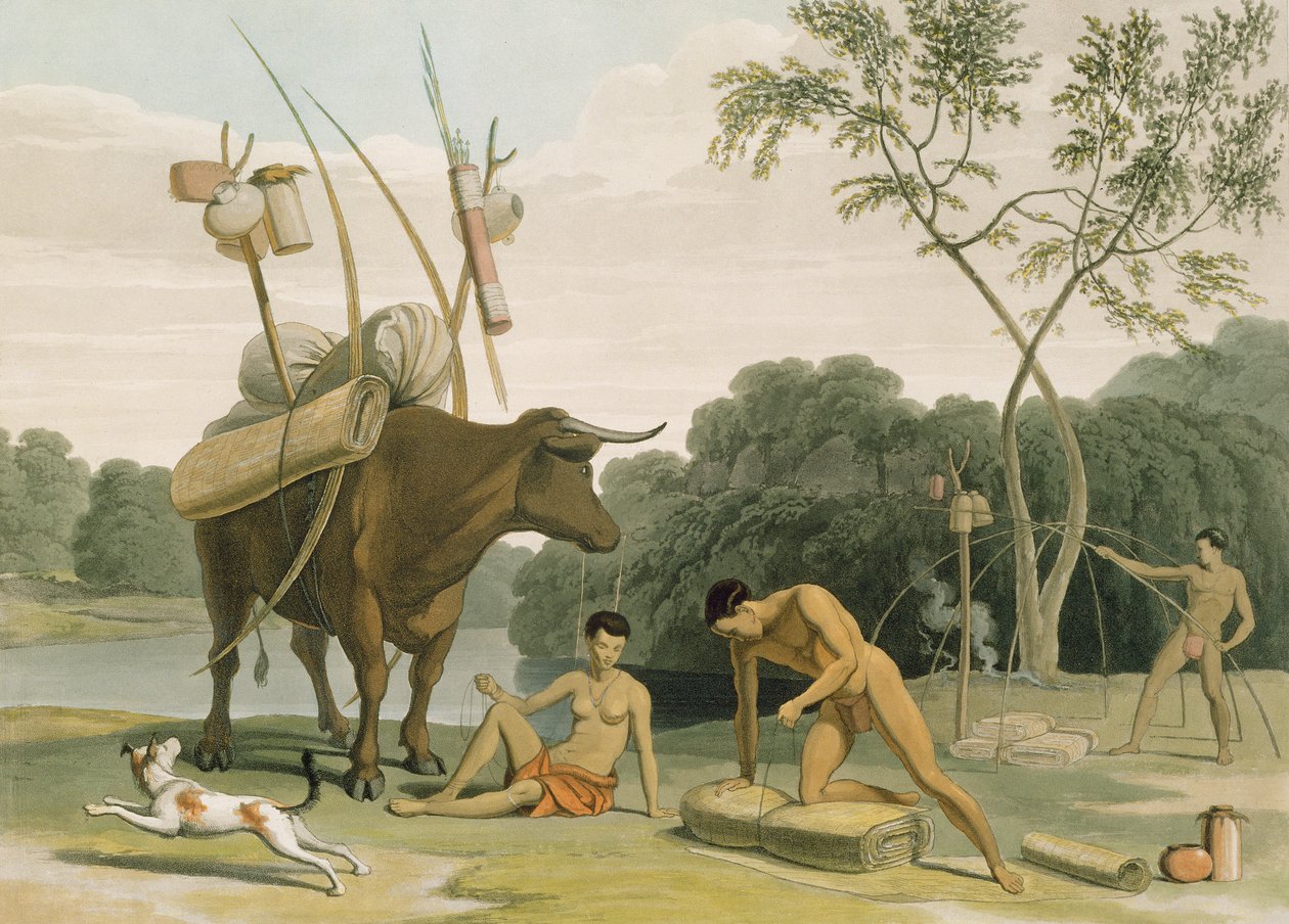 Korah Hottentots Preparing to Remove, plate 20 fra 