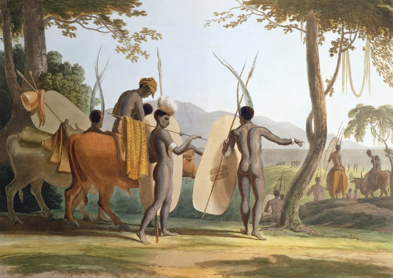 På en mars, plate 5 fra 'African Scenery and Animals', gravert av kunstneren, 1804 (akvatint) av Samuel Daniell