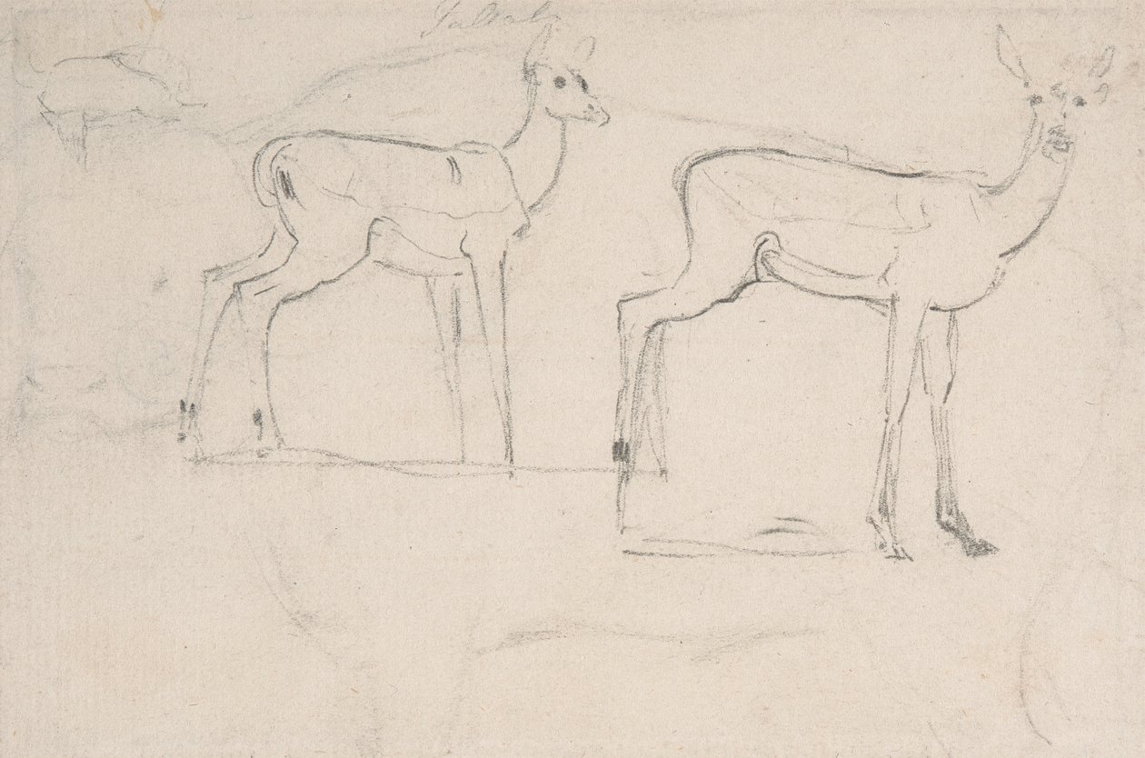 Studie for to stående Pallah-hjort av Samuel Daniell