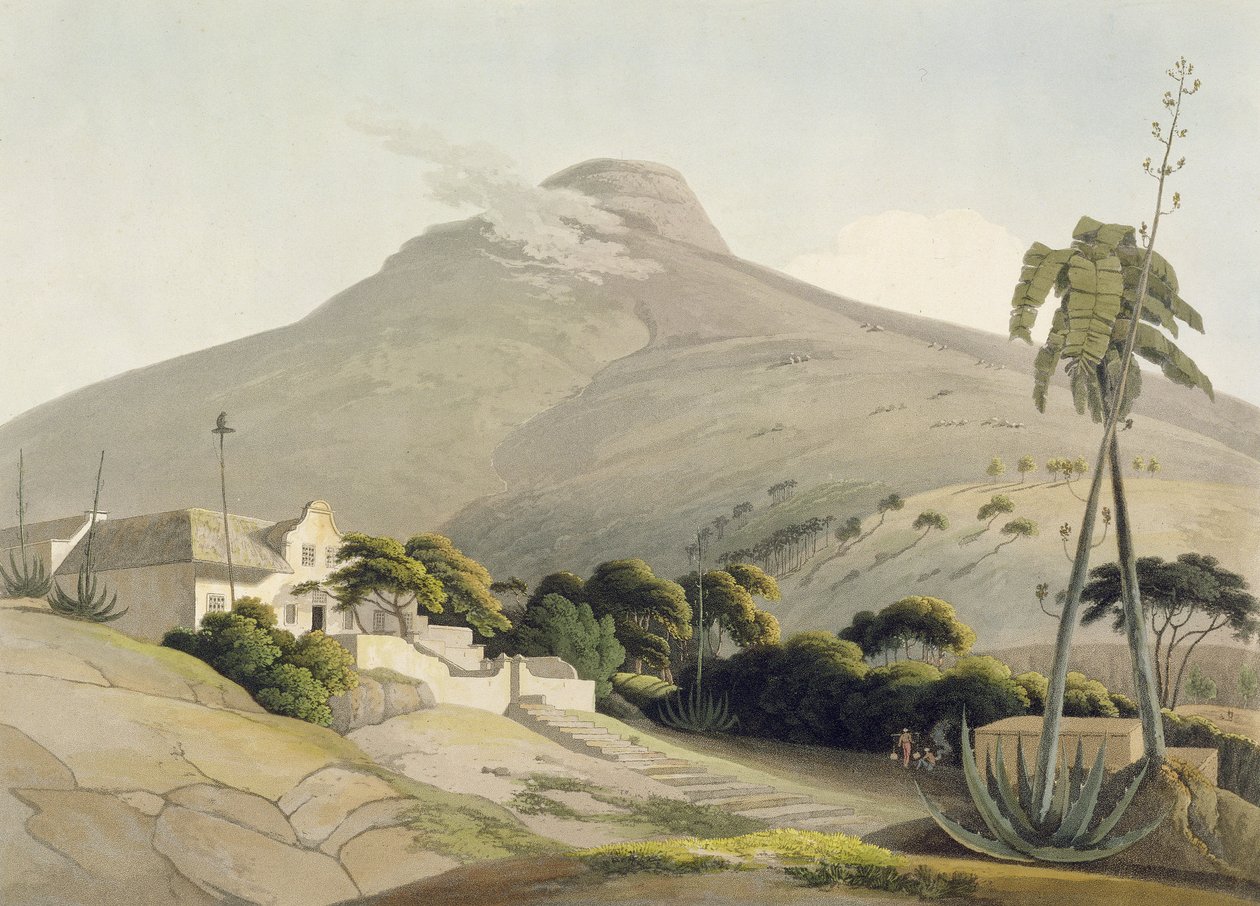 Utsikt over løvens hode, plate 28 fra 