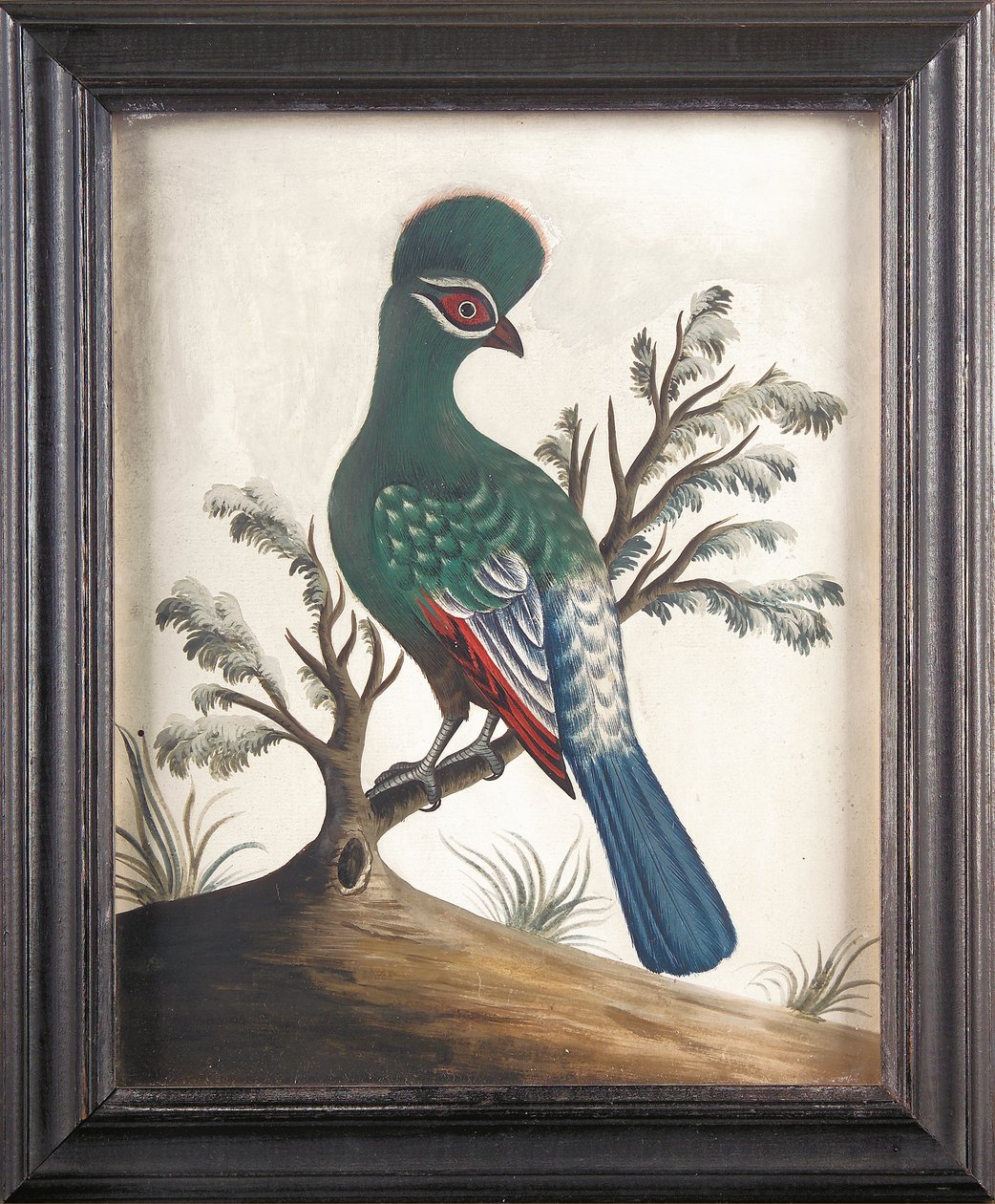 Touraco, ca. 1750 av Samuel Dixon
