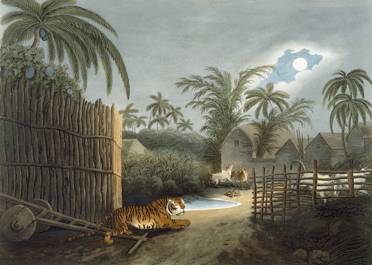 En tiger som går gjennom en landsby (storfe i redsel), fra 