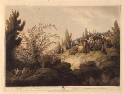 Driving A Tiger Out Of A Jungle, fra "Oriental Field Sports", pub. av Edward Orme av Samuel Howett