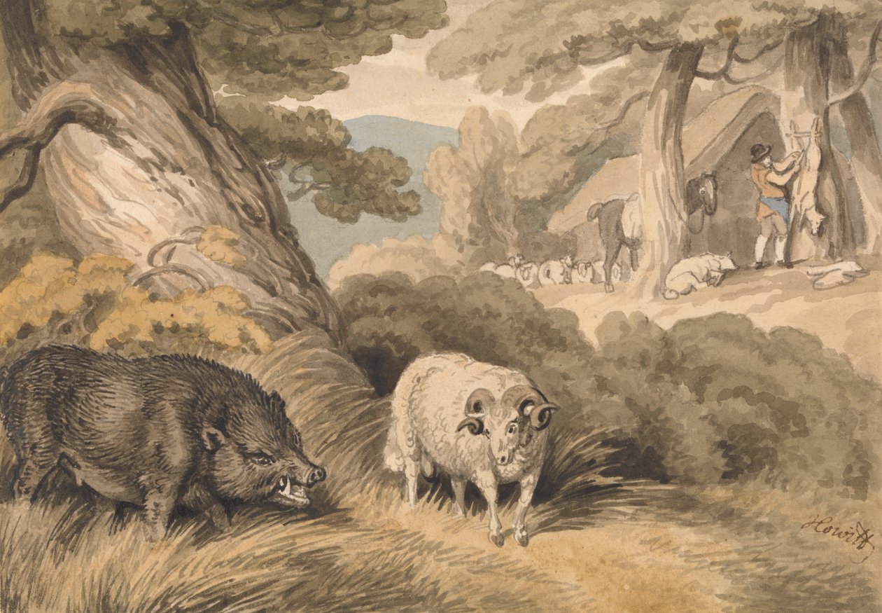 En villsvin og en vær av Samuel Howitt