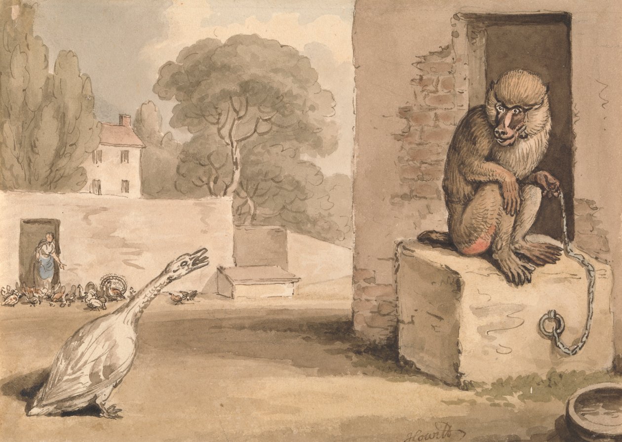 En gås og en bavian av Samuel Howitt