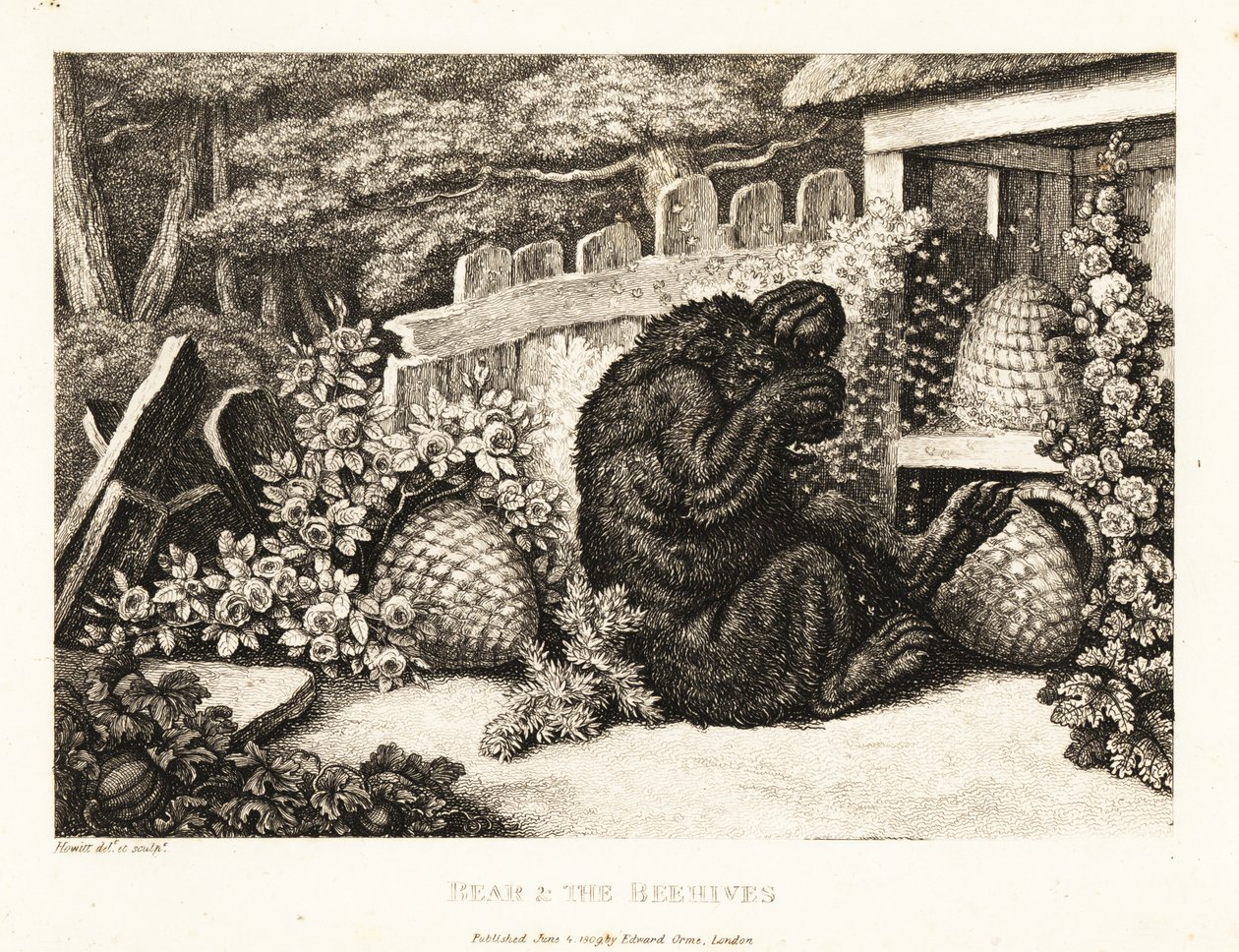 En brunbjørn angrepet av en hær av bier. 1811 (etsing) av Samuel Howitt
