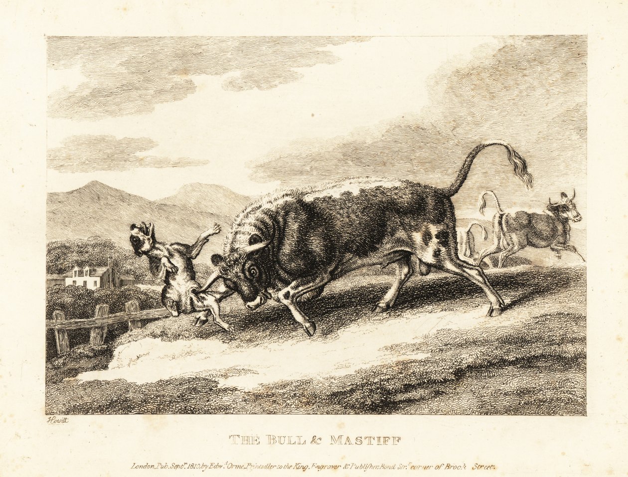 En okse slår i hjel en hund på en åker. 1811 (etsing) av Samuel Howitt