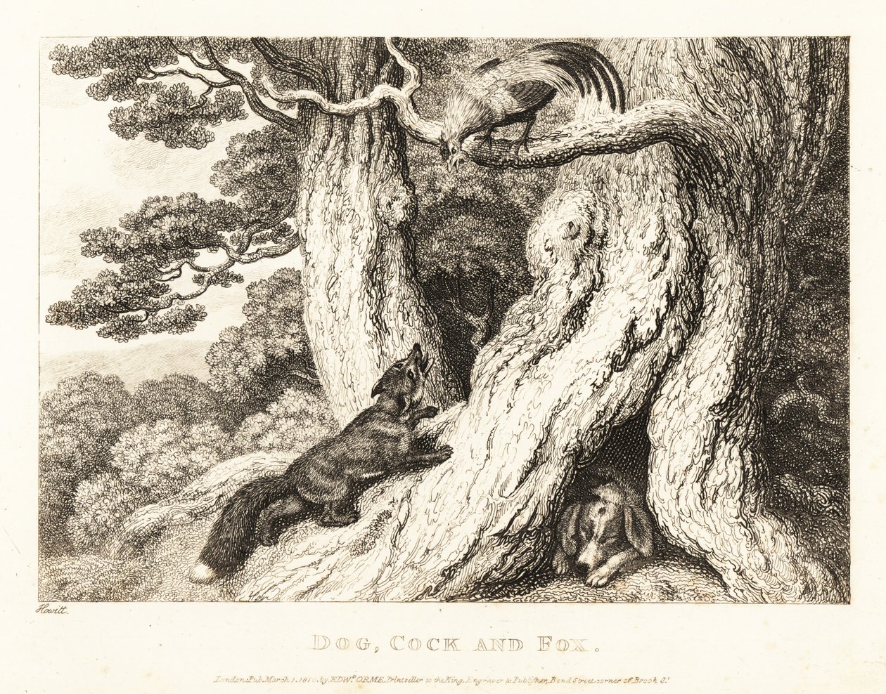 En hane i et tre overliste en rev, mens en hund sover. 1811 (etsing) av Samuel Howitt