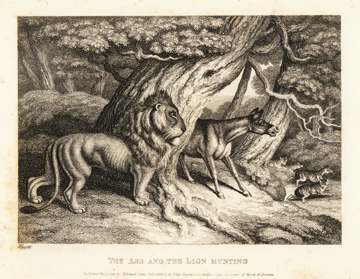 Et esel braser høyt mot byttet mens han jakter med en løve. 1811 (etsing) av Samuel Howitt