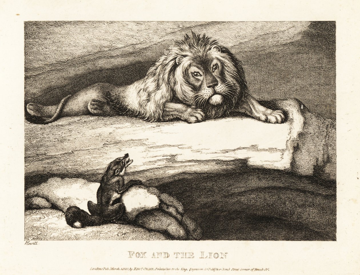 En rev som tåpelig nærmer seg en hannløve i hiet hans. 1811 (etsing) av Samuel Howitt
