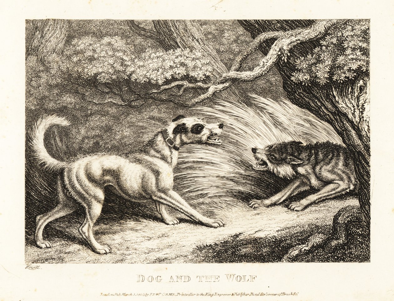 En hushund i halsbånd tilbyr mat til en sultende ulv. 1811 (etsing) av Samuel Howitt