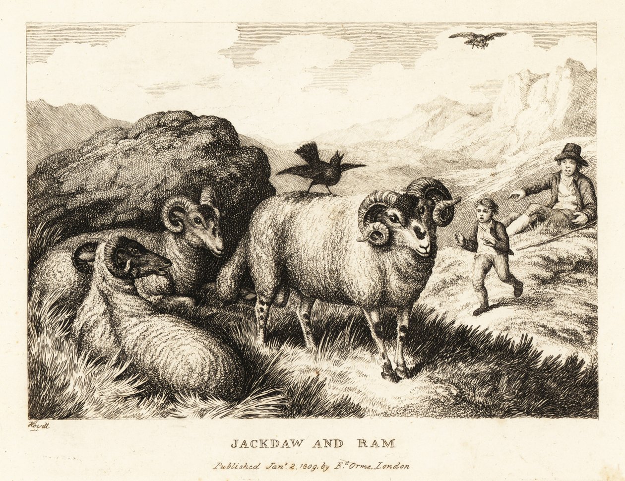 En jackdaw synger på ryggen til en vær. 1811 (etsing) av Samuel Howitt