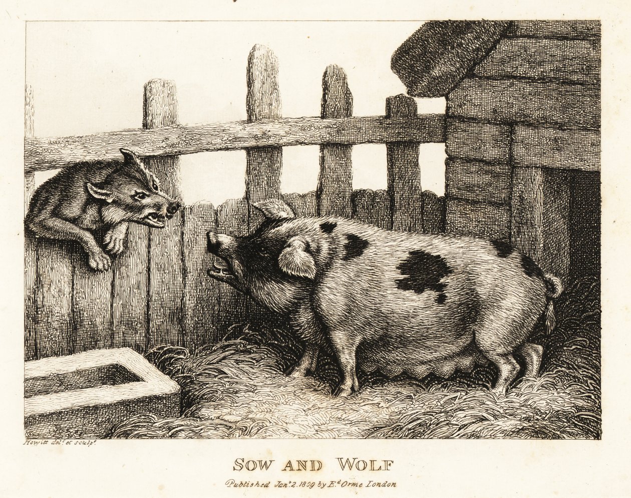 En stor purke i en grisesti som snerrer mot en ulv. 1811 (etsing) av Samuel Howitt