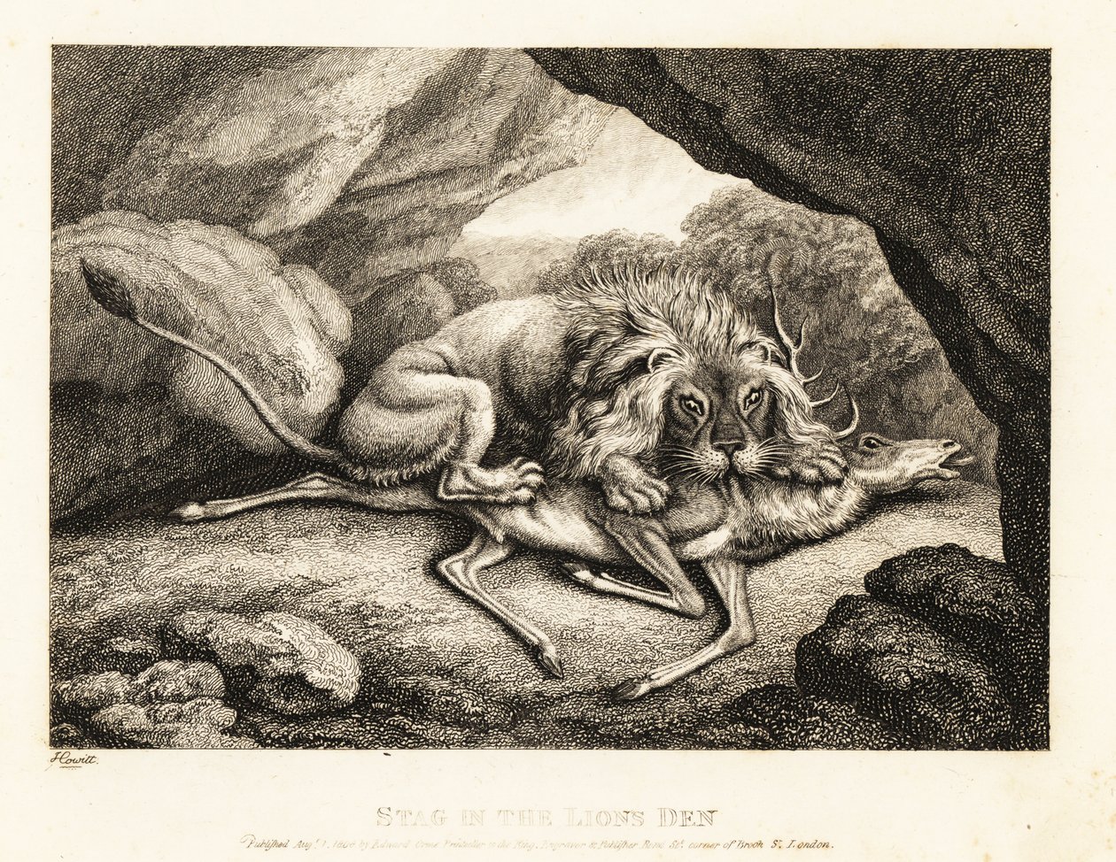 En løve spiser kadaveret av en hjort i en hule. 1811 (etsing) av Samuel Howitt