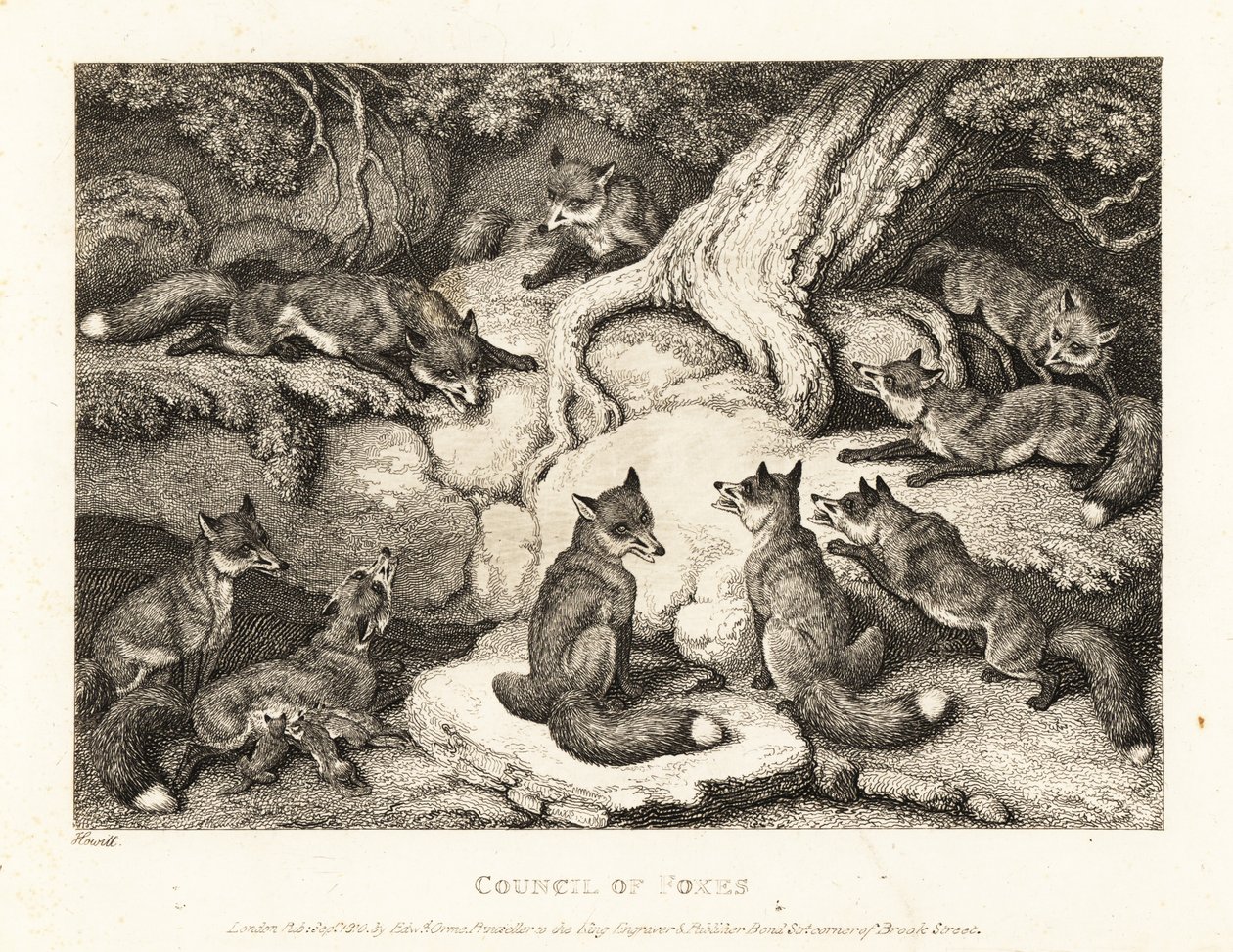 En flokk med rever møtes i en skog. 1811 (etsing) av Samuel Howitt