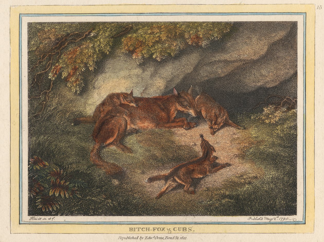 Tispe rev og unger av Samuel Howitt
