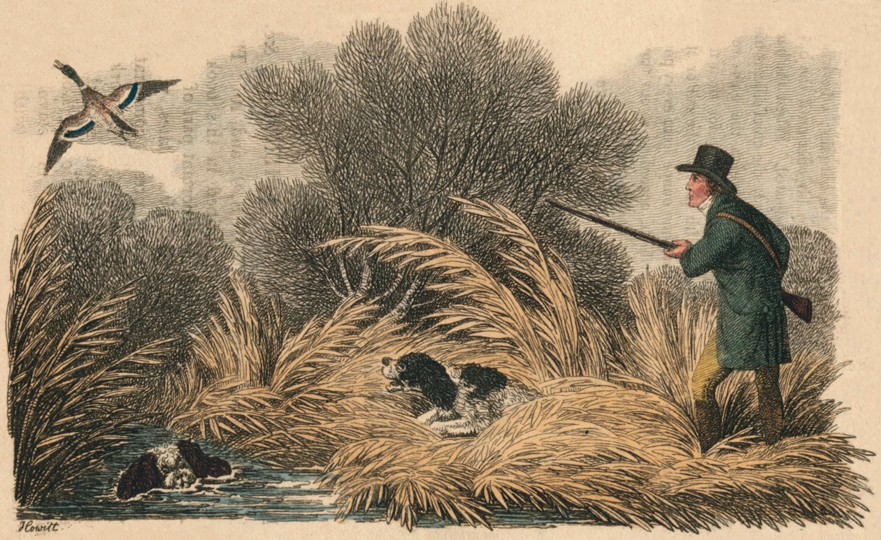 Andeskyting, 1810. av Samuel Howitt