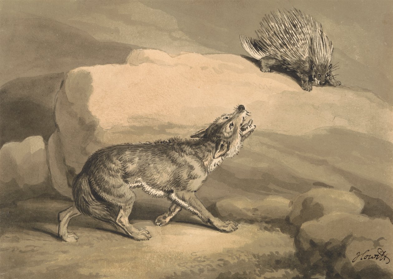 Fox and the Hedgehog (Pinnsvin) av Samuel Howitt
