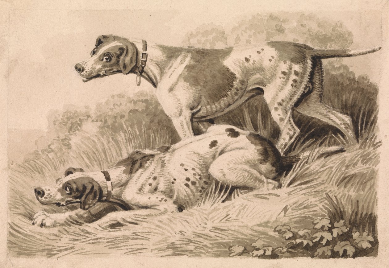 Gun Dogs av Samuel Howitt