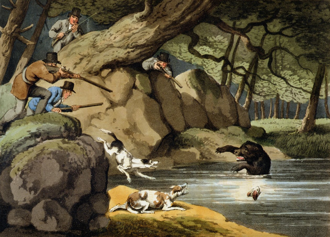 North America Bear Hunt, gravert av Matthew Dubourg, utgitt av Edward Orme, 1813 av Samuel Howitt