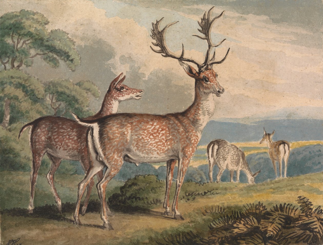 Stag, Doe og Fawns av Samuel Howitt