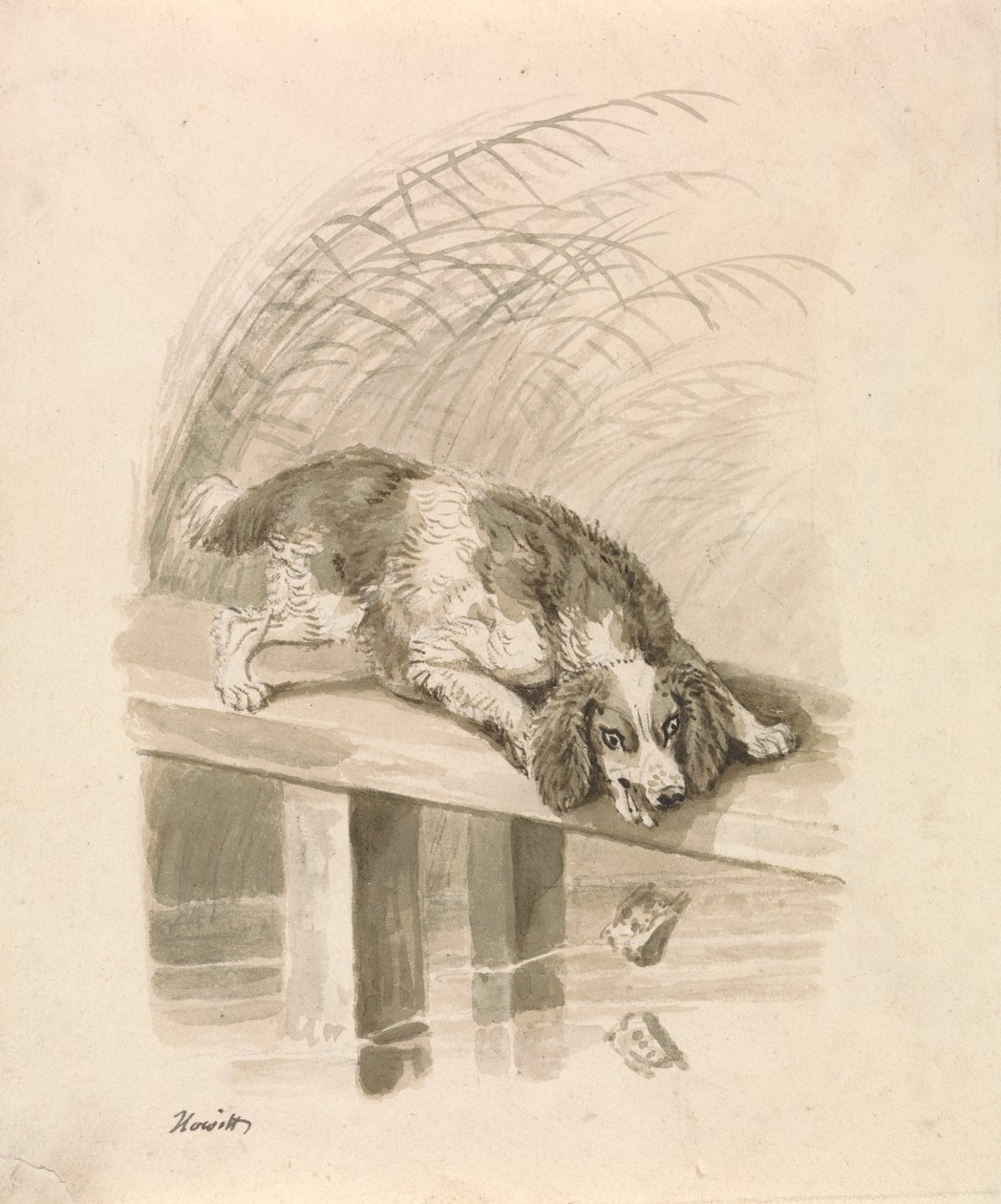Hunden og Skyggen av Samuel Howitt