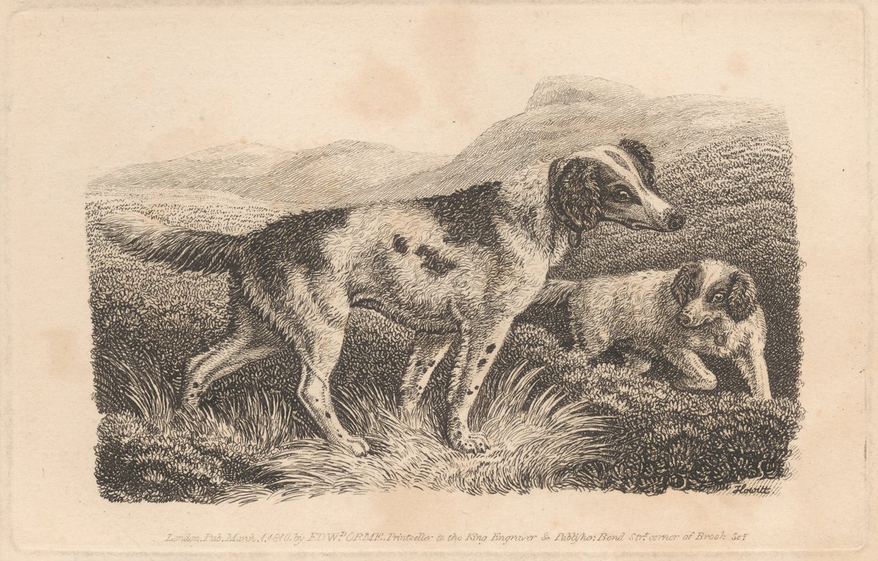 To hunder av Samuel Howitt
