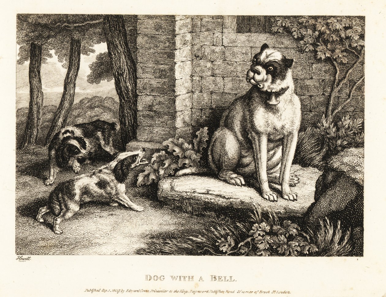 To spaniels bjeffer på en bulldog med en bjelle på halsbåndet. 1811 (etsing) av Samuel Howitt