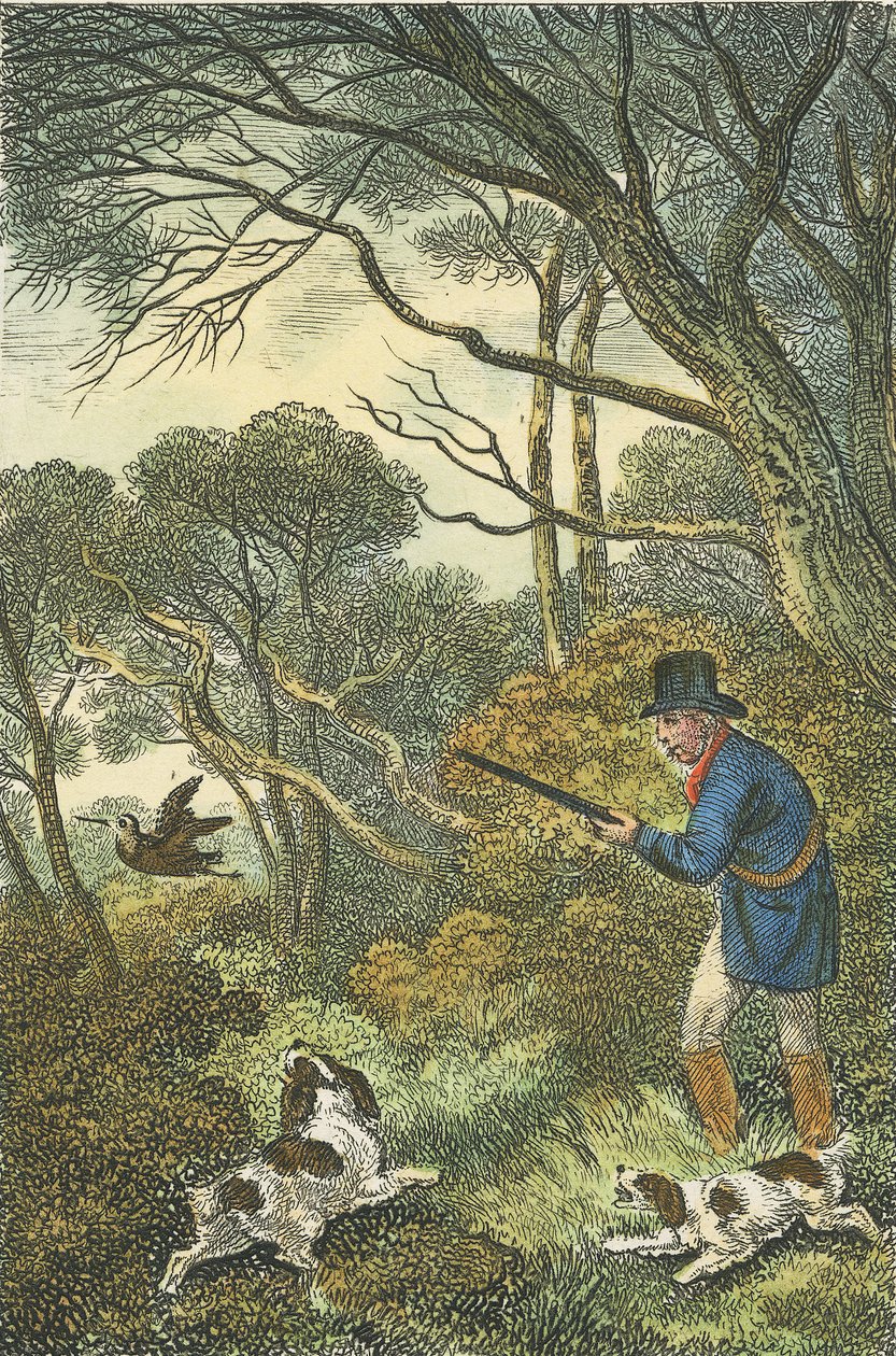Woodcock Shooting, 1819 (håndfarget gravering) av Samuel Howitt