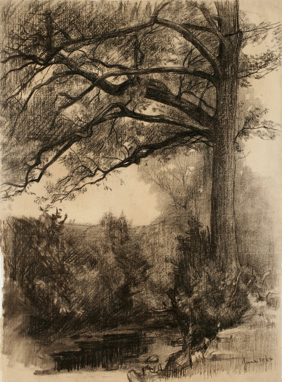 Landskap med stort tre, 1884 (kull på brunfarget papir) av Samuel Isham