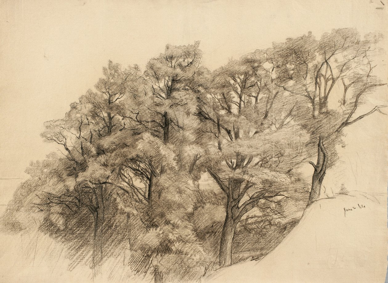 Landskap med trær, 1884 (kull på brunfarget papir) av Samuel Isham