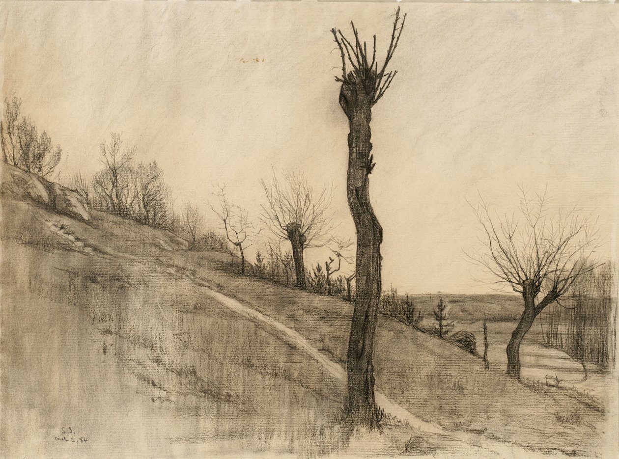 Senvinterlandskap, 1884 (kull på brunfarget papir) av Samuel Isham