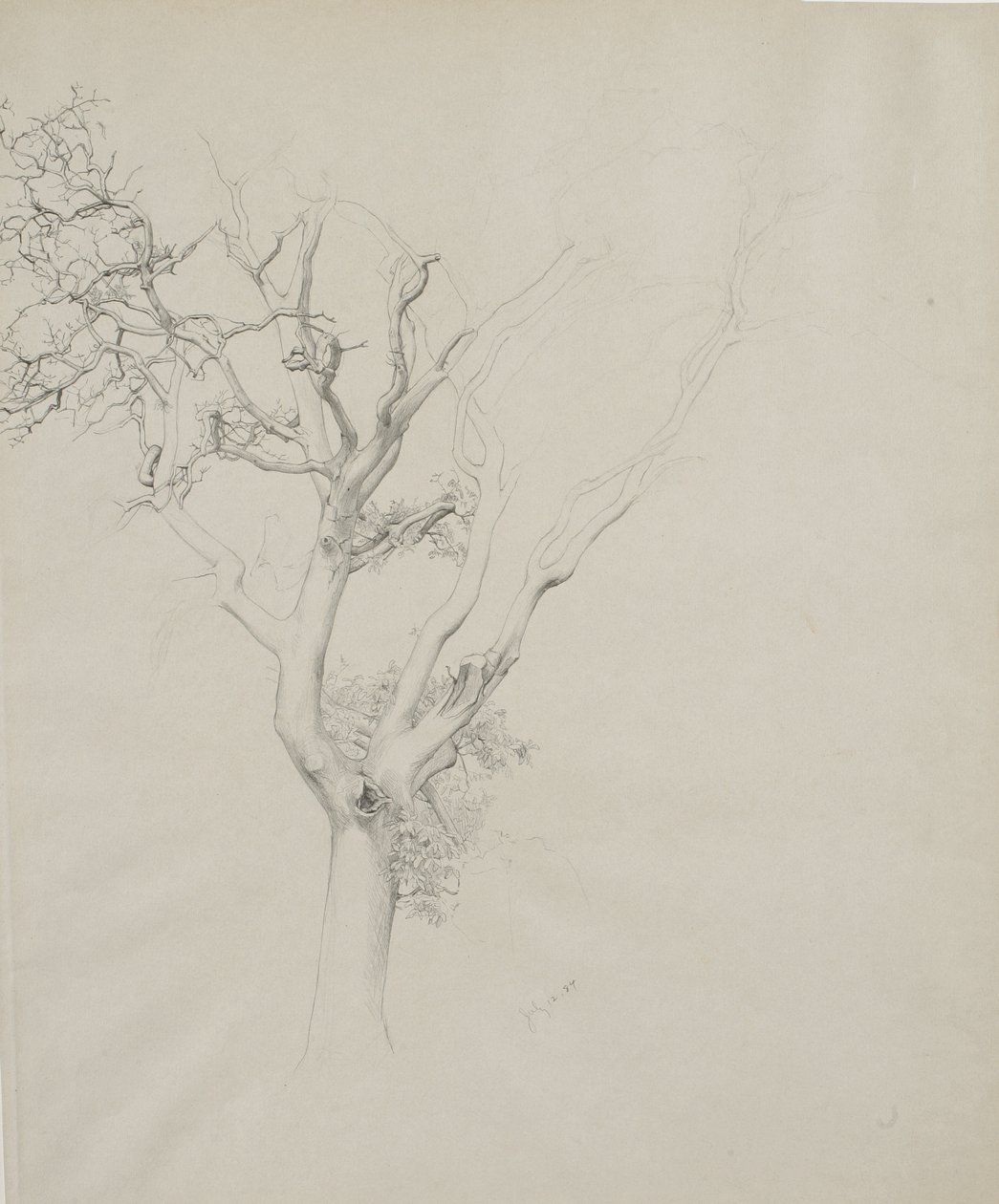 Trestudie, 1884 (grafitt på grått vevd papir) av Samuel Isham