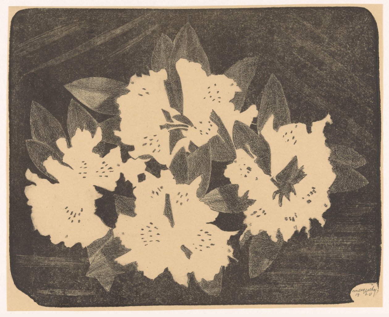 Rhododendron av Samuel Jessurun de Mesquita (signed by artist)