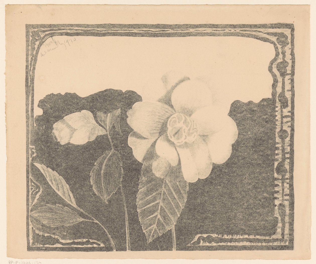 Camellia, etterlot en blomst i knopp av Samuel Jessurun de Mesquita