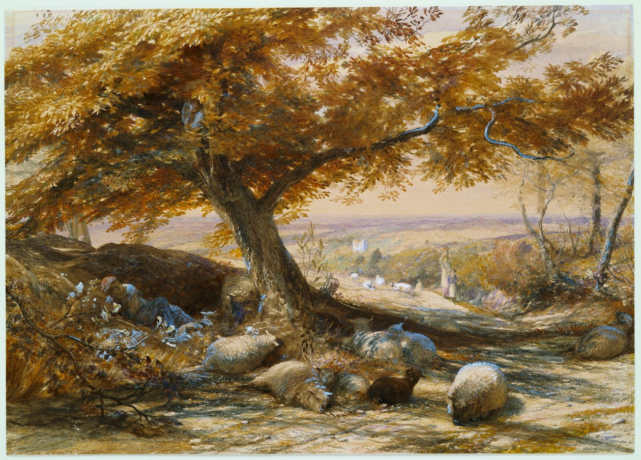 Sau i skyggen, ca. 1851 av Samuel Palmer