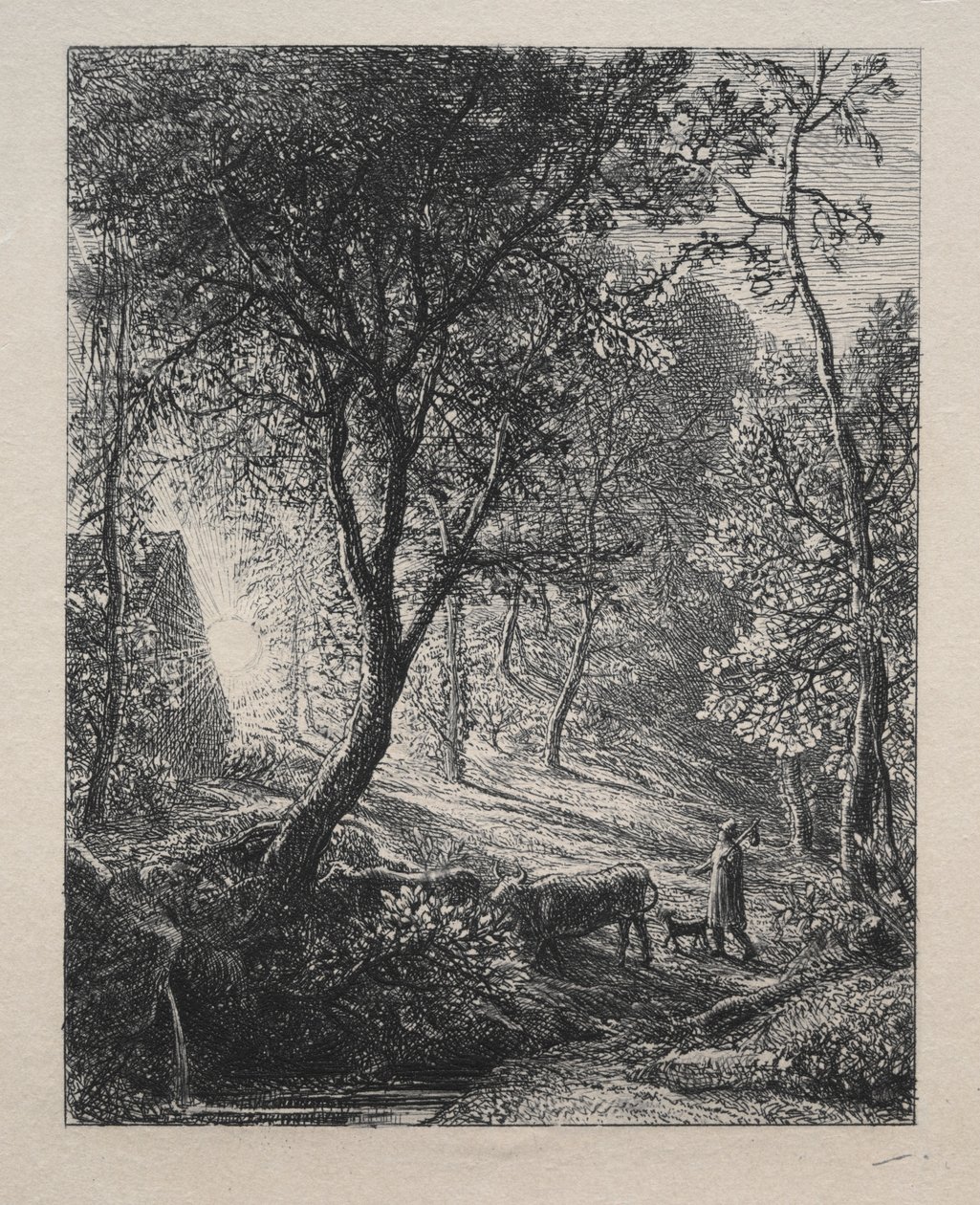 Herdsman