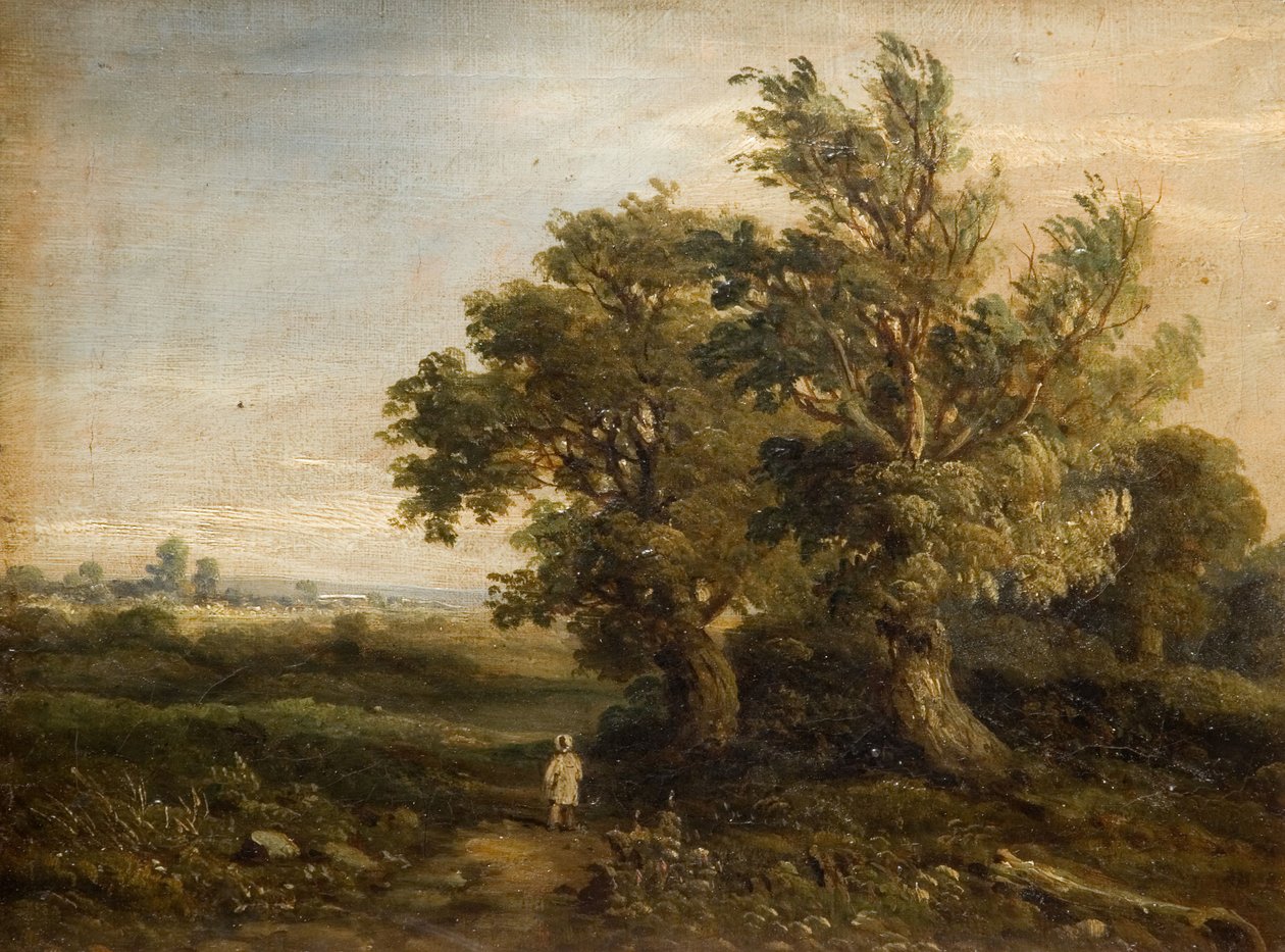 Landskap med trær, 1863. av Samuel Restell Lines