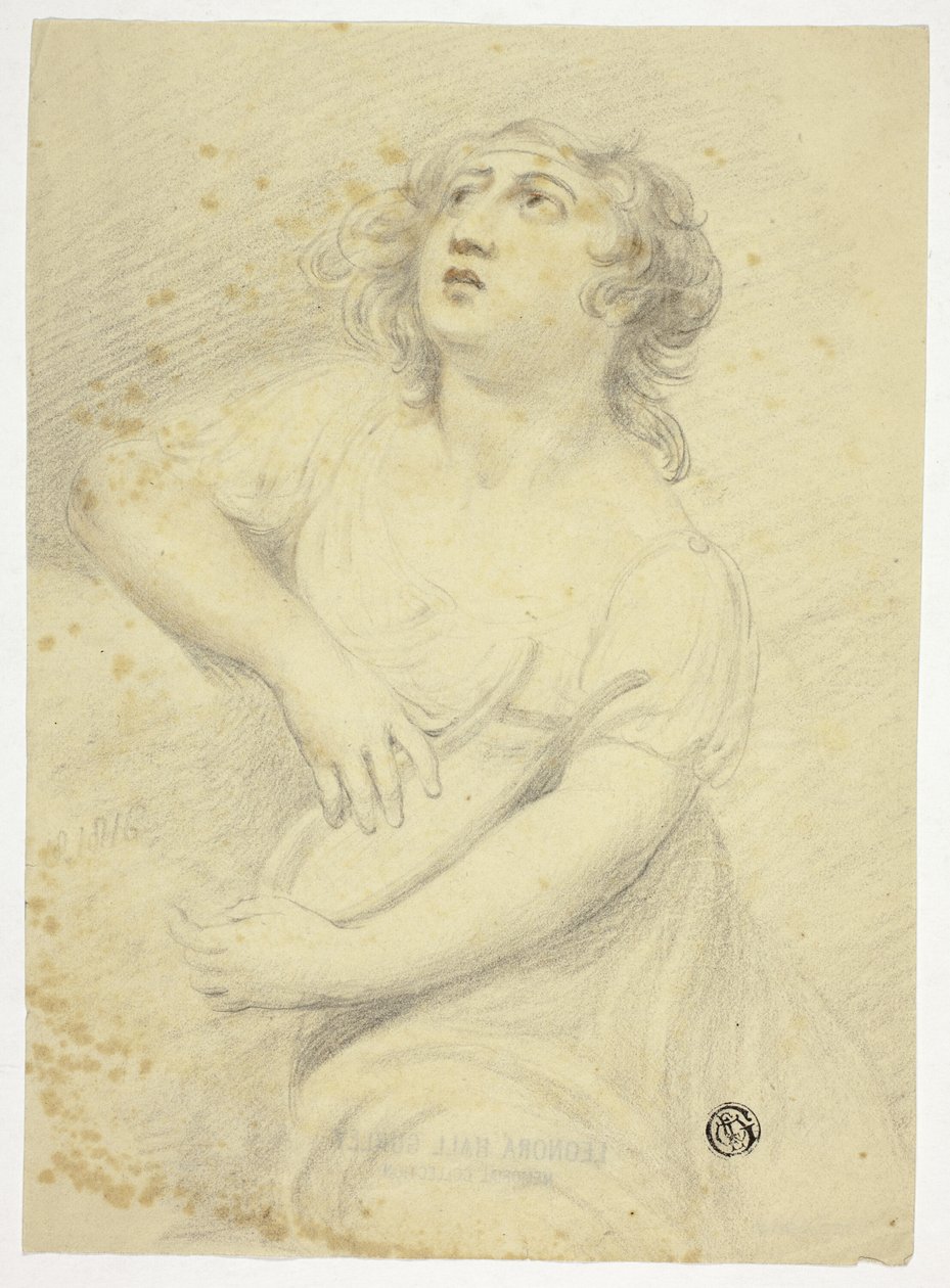 Kvinne med Lyre av Samuel de Wilde