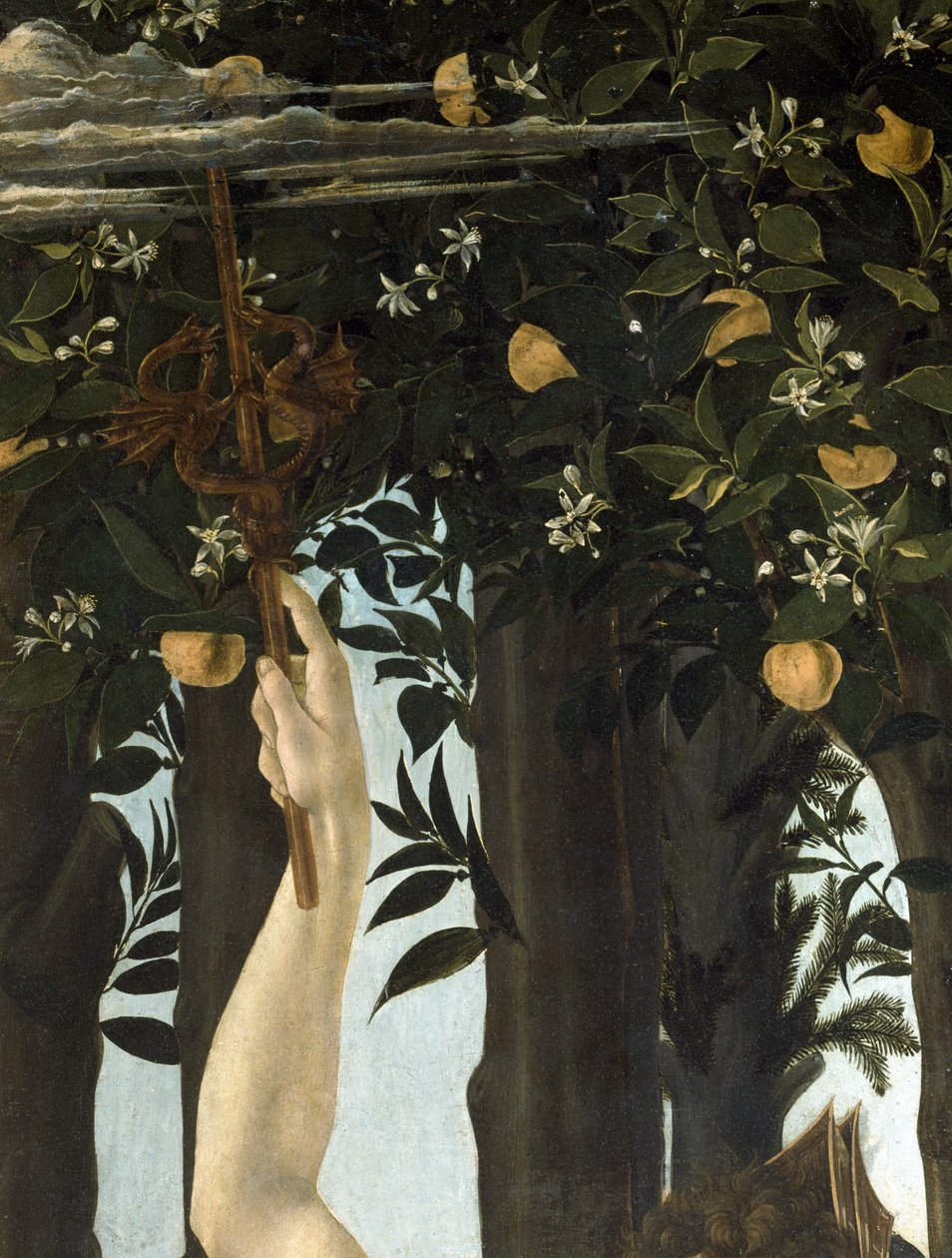 Primavera, ca. 1478, tempera på paneldetalj av 558 av Sandro Botticelli