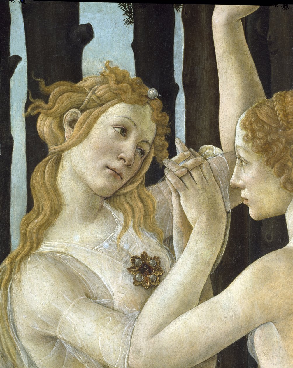 Primavera, ca. 1478, tempera på paneldetalj av 558 av Sandro Botticelli