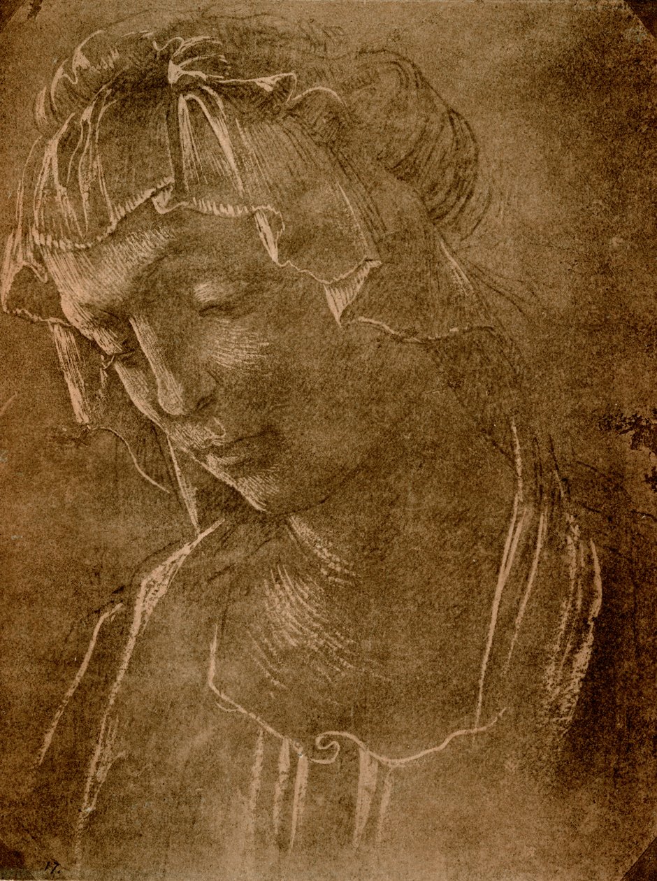 Kvinnelig hode av Sandro Botticelli